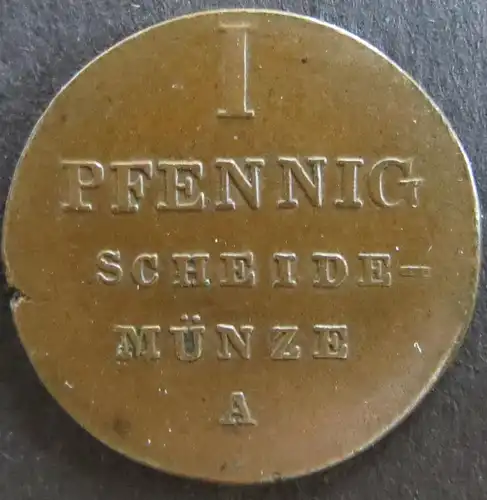 Münze Hannover 80 - 1 Pfennig 1833 A Scheidemünze Spiegelmonogramm Kupfer ss