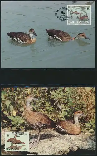 WWF Bahamas 672-675 Tiere Vögel Pfeifgans kpl. Kapitel bestehend
