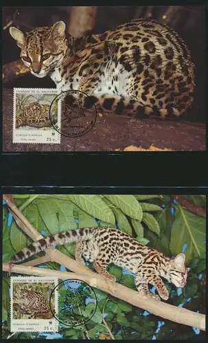 WWF El Salvador 1734-1737 Ozelot und Langschwanzkatze kpl. Kapitel bestehend