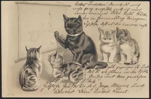 Ansichtskarte Präge Künstler Tiere Katzen Schule ab Leipzig 1904