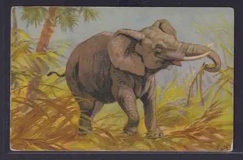 Ansichtskarte Elefant Tiere Künstlerkarte Sign. E.B.