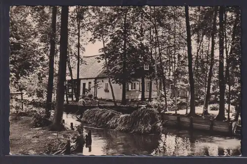 Ansichtskarte Lehde Spreewald Haus Fluss Boot
