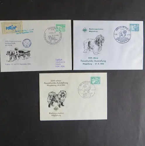 Briefe und Karten Sammlung Motiv Hunde DDR mit inter. Vielfalt 7 Stück dabei