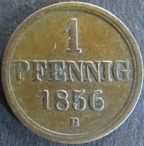 Münze Braunschweig 94 - 1 Pfennig 1856 Sachsenross Kupfer vz