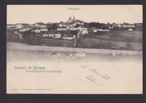 Ansichtskarte Hosingen Luxemburg nach Paris Frankreich mit Portomarke Nachgebühr