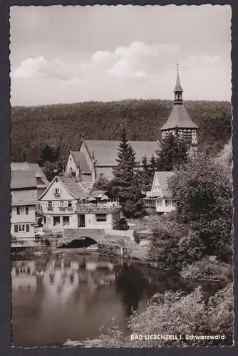 Ansichtskarte Bad Liebenzell Calw Baden Württemberg Schwarzwald Teich