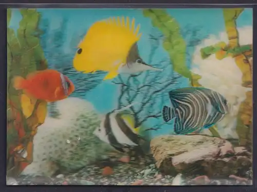 3 D Color Ansichtskarte Fische Aquarium Wasserpflanzen Printing Studio Zürich
