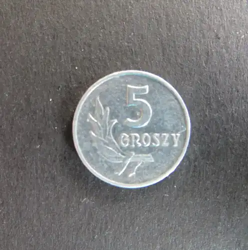 Münze Volksrepublik Polen 1962 5 Groszy Schön 38 ss