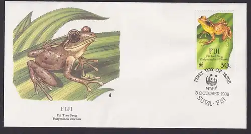 Fiji Fidji Inseln Ozeanien Fauna Frosch Platimantis schöner Künstler Brief