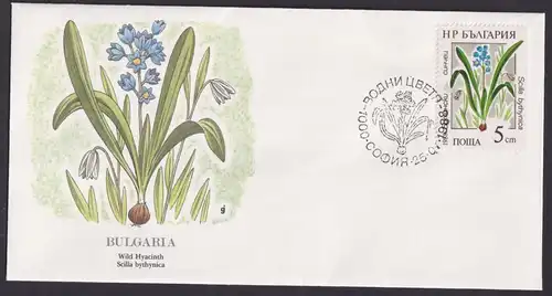 Bulgarie Bulgarien Europa Flora Lilien schöner Künstler Brief