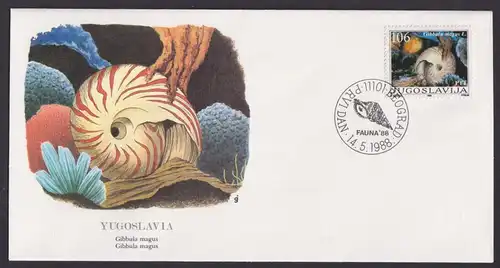 Yugoslawija Jugoslawien Fauna Muschel Gibbula Magnus schöner Künstler Brief
