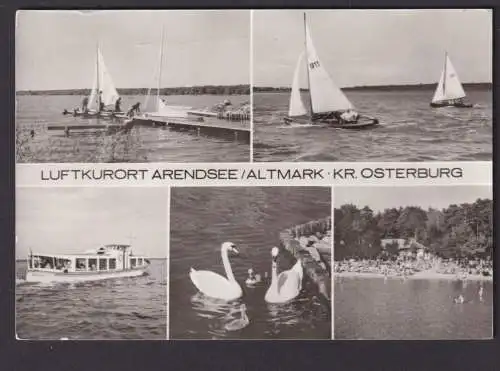Ansichtskarte Arendsee Sachsen Anhalt Altmark Kreis Osterburg See Boote Schwäne
