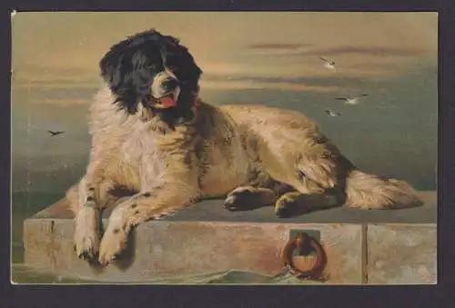 Ansichtskarte Künstlerkarte Hundbild Sir Edwin Landseer Tiere Hunde