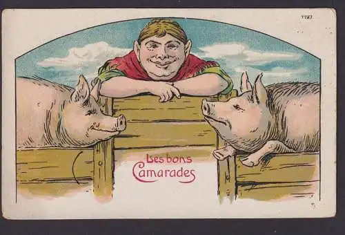 Ansichtskarte Künstlerkarte Scherzkarte Humor Bauer Schweine Gute Kameraden