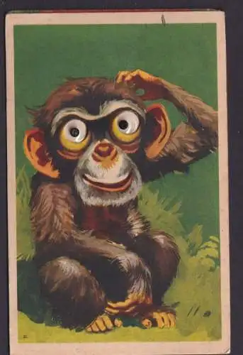 Kulleraugen Ansichtskarte Scherzkarte Humor Affe Tiere ab Schiedam Niederlande