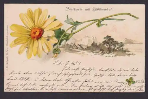 Ansichtskarte Künstlerkarte Blume Landschaft Duftkarte ab Leipzig