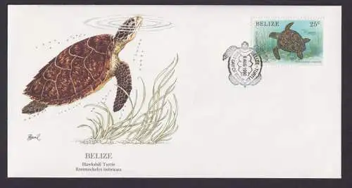 Belize Mittelamerika Fauna Tiere Karettschildkröte schöner KünstlerBrief
