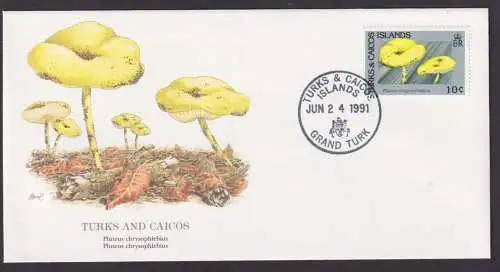 Turks and Caicos Britisch Übersee Flora Pflanzen Pilze schöner Künstler Brief