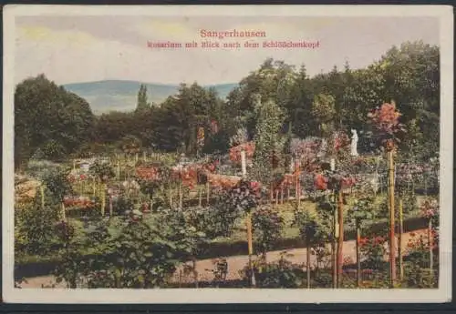 Ansichtskarte Sangerhausen Blumen Rosen Rosarium Schlößchenkopf Sachsen Anhalt