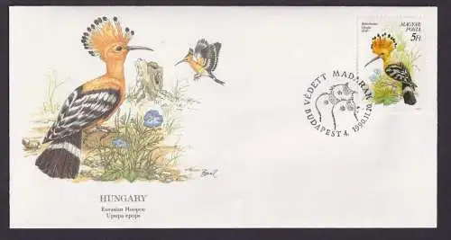 Hungary Ungarn Europa Fauna Tiere Vögel Eurasischer Wiederhopf Künstler Brief