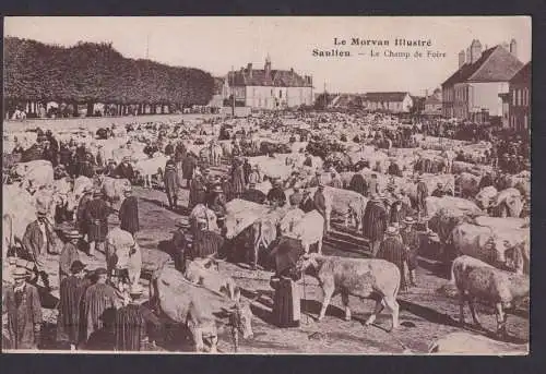 Le Morvan Illustre Sanileu Frankreich Ansichtskarte Viehmarkt