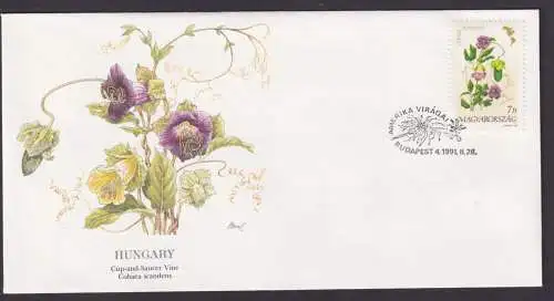 Ungarn Flora Blumen Cobaea schöner Künstler Brief