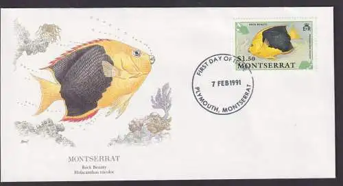 Montserrat Spanien Gebirgskette Fauna Schmetterlingsfisch schönerKünstler Brief