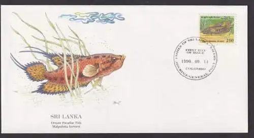 Sri Lanka Indischer Ozean Fauna Paradisfisch schöner Künstler Brief