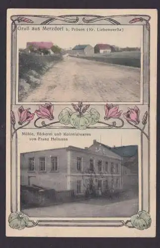 Jugendstil Art Nouveau Ansichtskarte Merzdorf Prösen Liebenwerda Brandenburg
