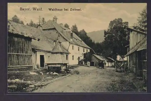 Ansichtskarte Zwiesel Bayern Bayerischer Wald Waldhaus Verlag Wilhelm Hagelweide