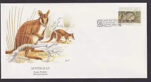 Australien Fauna Parma Wallaby Kängeruh schöner Künstler Brief