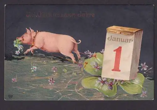 Ansichtskarte Neujahr Schwein Glücksschwein Tiere Künstlerkarte Prägekarte