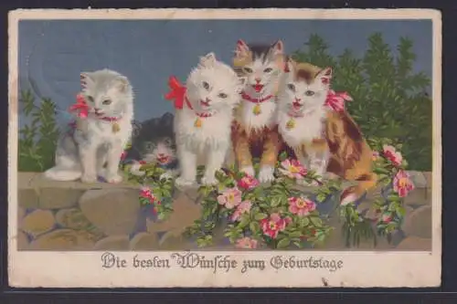 Ansichtskarte Künstlerkarte Katzen Blumenschmuck Geburtstag