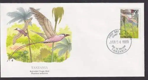 Tansania Ostafrika Fauna Rotschwänzige Tropenvögel Schöner Künstler Brief