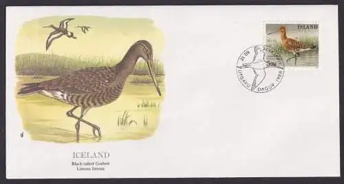 Island Iceland Fauna Vögel Uferschnäpfe schöner Künstler Brief