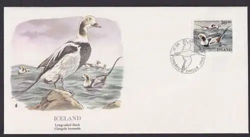 Iceland Island Fauna Vögel Eisenten schöner Künstler Brief