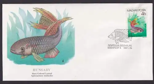 Hungary Ungarn Fauna Fische Aphyosemion Multicolor schöner Künstler Brief