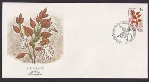 Hungary Ungarn Flora Orchis Purpurea schöner Künstler Brief