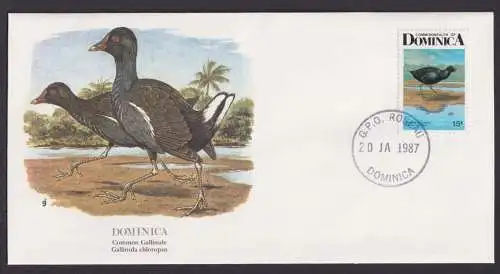Dominica Karibik Fauna Vögel Teichhun schöner Künstler Brief
