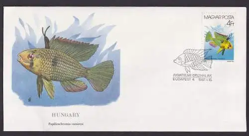 Hungary Ungarn Fauna Fische Papillioschromis schöner Künstler Brief