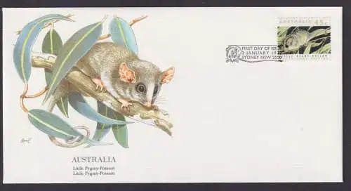 Australien Fauna Beuteltier Zwerg Opossum schöner Künstler Brief
