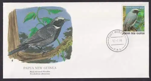 Papua New Guinea Ozeanien Fauna Vogel Blauhäubiger Ifrit schöner Künstler Brief