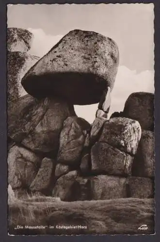 Ansichtskarte Schulenberg Oberharz Mausefalle Kästegebiet Harz