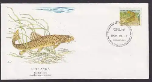 Sri Lanka Indischer Ozean Fauna getüpfelte Schmerlen schöner Künstler Brief
