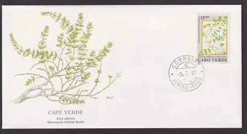 Cap Verde Afrika Flora Pflanzen Micromeria schöner Künstler Brief