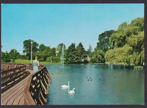 Ansichtskarte Bünde Westfalen Steinmeister Park See Schwäne Brücke