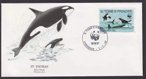 St. Thomas Amerikanische Jungferninseln Fauna Schwertwal Zahnwal Künstler Brief