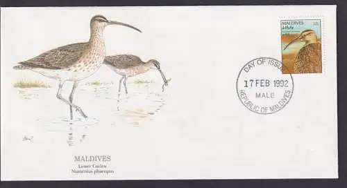Malediven Südasien Fauna Brachvögel schöner Künstler Brief