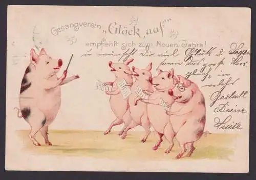 Ansichtskarte Neujahr Schwein Glücksschwein Tiere Ab Leipzig Sachsen n. Borna