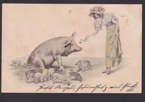 Ansichtskarte Neujahr Schwein Glücksschwein Tiere Künstlerkarte n. Dresden